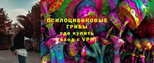стаф Надым